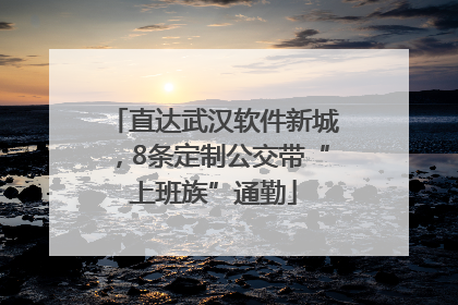 直达武汉软件新城，8条定制公交带“上班族”通勤
