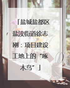 盐城盐都区盐渎街道徐志刚：项目建设工地上的“啄木鸟”
