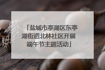 盐城市亭湖区东亭湖街道北林社区开展端午节主题活动