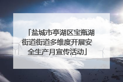 盐城市亭湖区宝瓶湖街道街道多维度开展安全生产月宣传活动