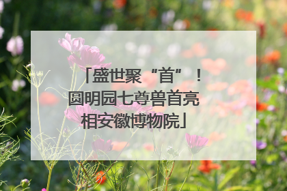 盛世聚“首”！圆明园七尊兽首亮相安徽博物院