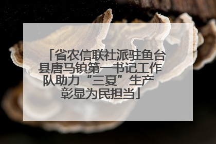 省农信联社派驻鱼台县唐马镇第一书记工作队助力“三夏”生产 彰显为民担当