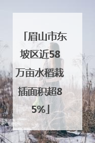 眉山市东坡区近58万亩水稻栽插面积超85%