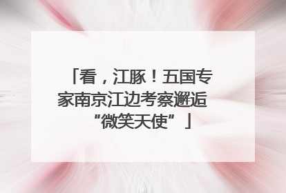 看，江豚！五国专家南京江边考察邂逅“微笑天使”