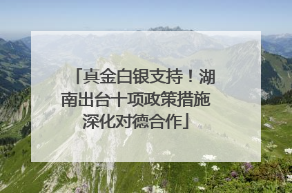 真金白银支持！湖南出台十项政策措施深化对德合作