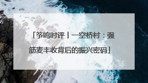 筝鸣时评丨一空桥村：强筋麦丰收背后的振兴密码