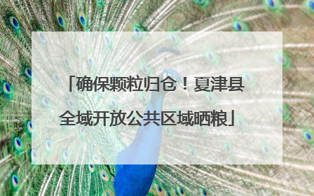 确保颗粒归仓！夏津县全域开放公共区域晒粮