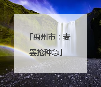 禹州市：麦罢抢种急