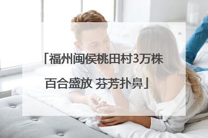 福州闽侯桃田村3万株百合盛放 芬芳扑鼻
