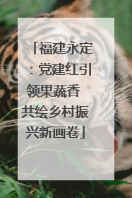 福建永定：党建红引领果蔬香 共绘乡村振兴新画卷