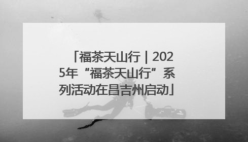 福茶天山行｜2025年“福茶天山行”系列活动在昌吉州启动