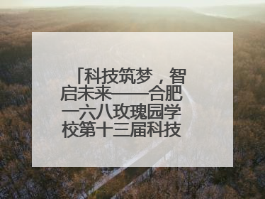 科技筑梦，智启未来——合肥一六八玫瑰园学校第十三届科技节机器人系列体验赛燃动校园