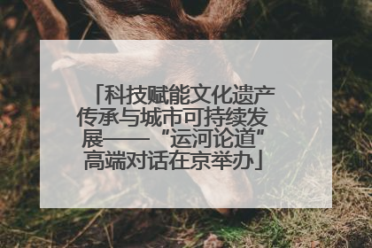 科技赋能文化遗产传承与城市可持续发展——“运河论道”高端对话在京举办