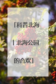 科普北海丨北海公园的合欢