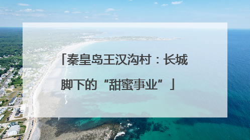 秦皇岛王汉沟村：长城脚下的“甜蜜事业”