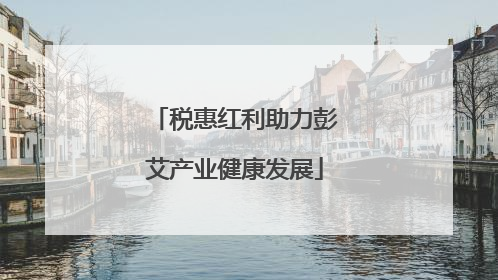 税惠红利助力彭艾产业健康发展