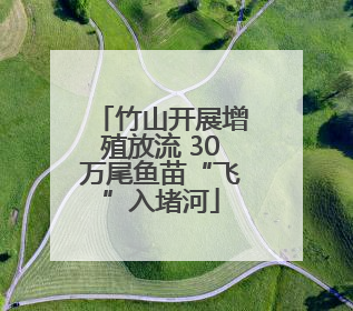 竹山开展增殖放流 30万尾鱼苗“飞”入堵河