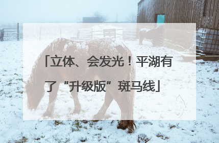 立体、会发光！平湖有了“升级版”斑马线