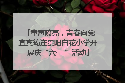 童声嘹亮，青春向党 宜宾筠连景阳白花小学开展庆“六·一”活动