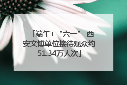 端午+“六一” 西安文博单位接待观众约51.34万人次