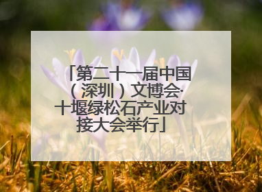 第二十一届中国（深圳）文博会·十堰绿松石产业对接大会举行