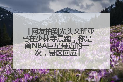 网友拍到光头文班亚马在少林寺晨跑，称是离NBA巨星最近的一次，景区回应