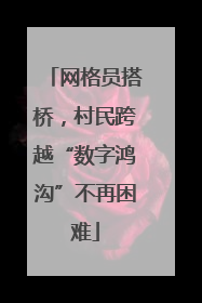 网格员搭桥，村民跨越“数字鸿沟”不再困难