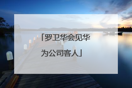 罗卫华会见华为公司客人