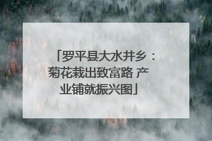 罗平县大水井乡：菊花栽出致富路 产业铺就振兴图