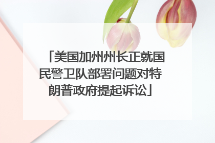 美国加州州长正就国民警卫队部署问题对特朗普政府提起诉讼