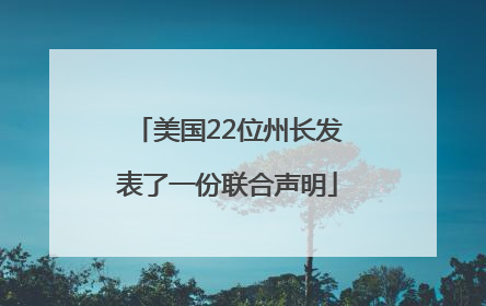 美国22位州长发表了一份联合声明