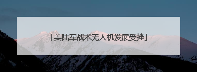 美陆军战术无人机发展受挫