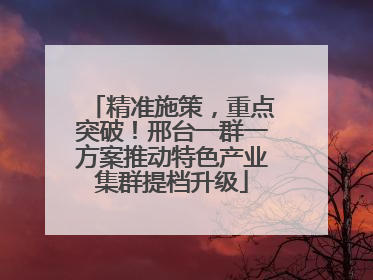 精准施策，重点突破！邢台一群一方案推动特色产业集群提档升级