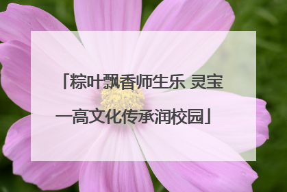 粽叶飘香师生乐 灵宝一高文化传承润校园