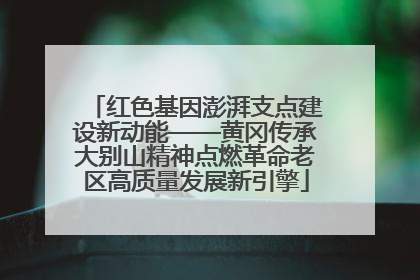 红色基因澎湃支点建设新动能——黄冈传承大别山精神点燃革命老区高质量发展新引擎