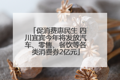 促消费惠民生 四川宜宾今年将发放汽车、零售、餐饮等各类消费券2亿元