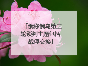 俄称俄乌第三轮谈判主题包括战俘交换