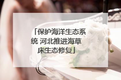 保护海洋生态系统 河北推进海草床生态修复