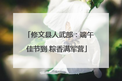 修文县人武部：端午佳节到 粽香满军营