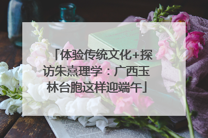 体验传统文化+探访朱熹理学：广西玉林台胞这样迎端午