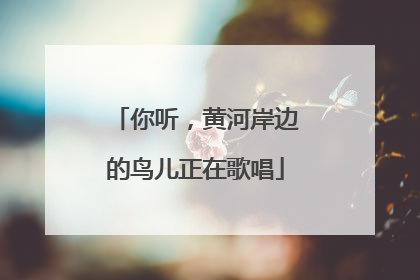 你听，黄河岸边的鸟儿正在歌唱