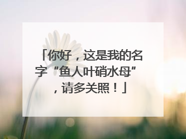 你好，这是我的名字“鱼人叶硝水母”，请多关照！