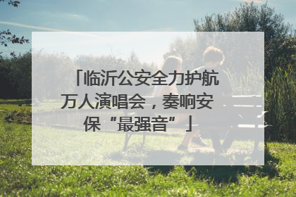 临沂公安全力护航万人演唱会，奏响安保“最强音”
