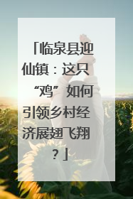 临泉县迎仙镇：这只“鸡”如何引领乡村经济展翅飞翔？