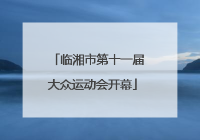 临湘市第十一届大众运动会开幕