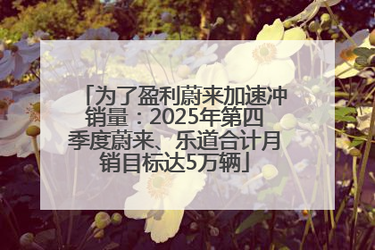 为了盈利蔚来加速冲销量：2025年第四季度蔚来、乐道合计月销目标达5万辆