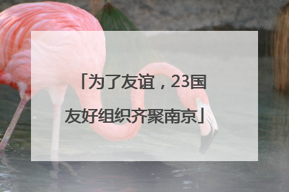 为了友谊，23国友好组织齐聚南京