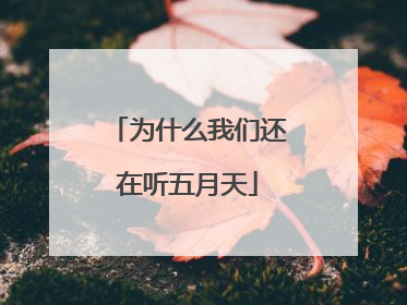 为什么我们还在听五月天