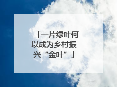 一片绿叶何以成为乡村振兴“金叶”