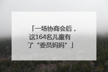 一场协商会后，这164名儿童有了“委员妈妈”